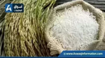 تحديثات الأسعار.. تراجع مفاجئ في قيمة طن الأرز الشعير داخل الأسواق المحلية اليوم الأحد